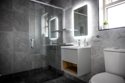 a bathroom with a shower and a toilet and a sink at Cahermaclanchy House B&B in Doolin