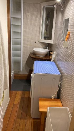 La petite salle de bains est pourvue d'un lavabo et de toilettes. dans l'établissement Le Coquelicot de Luchon, à Luchon