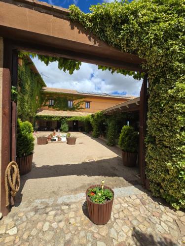 an entrance to a building with plants in pots at Finca La Calancha in Cuerva