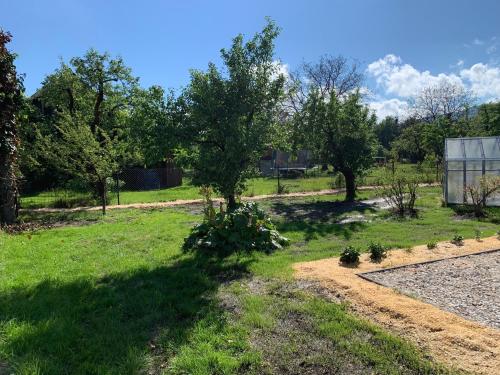 a tree in the middle of a garden at Chalupa u Desné in Petrov nad Desnou