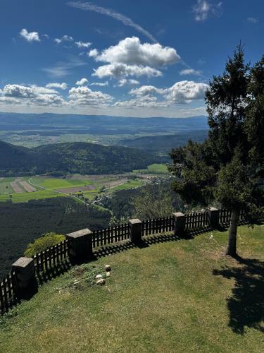 a hillside with a fence and a view of a valley at Hochkogelhaus - flying oasis, Hohe Wand in Maiersdorf