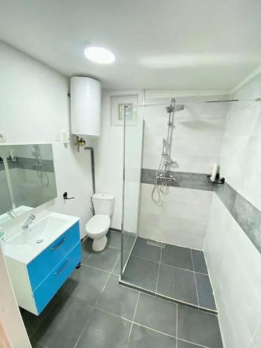 une salle de bain avec une douche, des toilettes et un lavabo dans l'établissement Charmante maison à Clermont avec terrasse proche de Paris, à Clermont