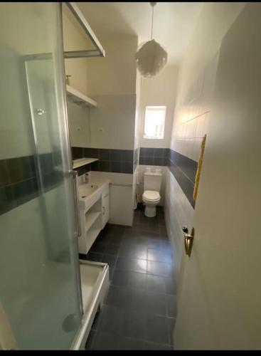 une salle de bain avec toilettes, lavabo et douche dans l'établissement Superbe 75 m2 deux chambres Paris 5, à Paris