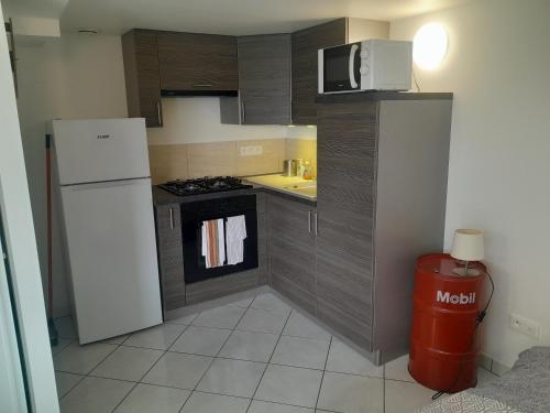 une petite cuisine avec un réfrigérateur et un micro-ondes dans l'établissement Le Dépôt, à Rochetoirin