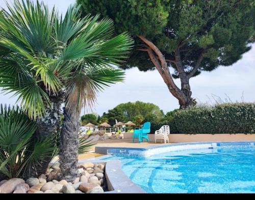 une piscine avec un palmier et une chaise bleue dans l'établissement Camping les Charmettes, aux Mathes