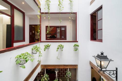 a staircase with potted plants on the wall at Home Youth Hostel by Feetup Hostels in Valencia