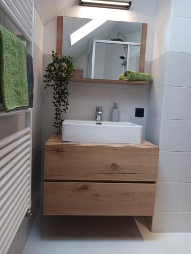 Apartment Natur Herz