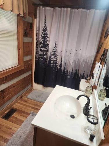 MoonPie Hideaway photo 4