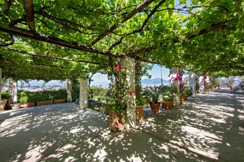 a pergola with plants and potted plants at San Francesco al Monte in Naples