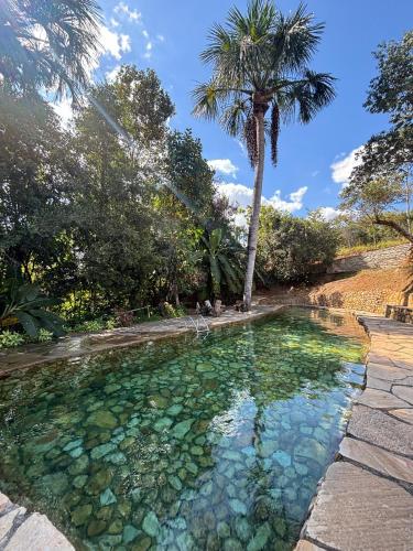a pool of water with a palm tree in the background at Pousada Rio das Almas in Pirenópolis