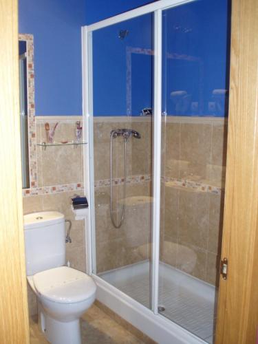 a bathroom with a shower with a toilet and a shower at Hotel Las Murallas in Avila