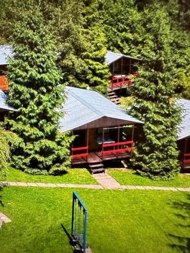 a house in the middle of a yard with trees at Domki letniskowe pod Brzozami Stella in Polańczyk