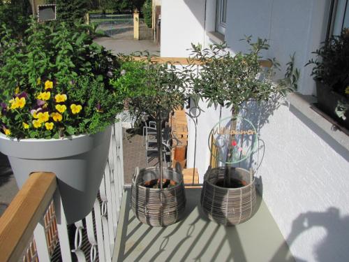 two potted plants sitting on a balcony at #1Gemütliches ruhiges sonniges Balkonzimmer mit Gemeinschaftsbad W-Lan Airport nah Late Night Check in Haus Nr 9,5 in Trunkelsberg
