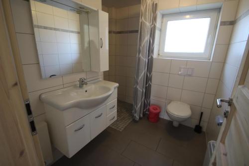 a bathroom with a sink and a toilet and a window at Möwe 14 in Mirow