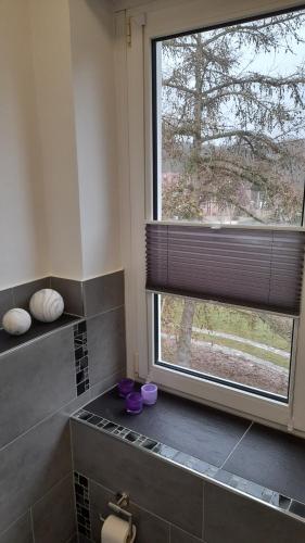 a bathroom with a large window and a shower at Boliken Berg und Eich Sahl in Lübow