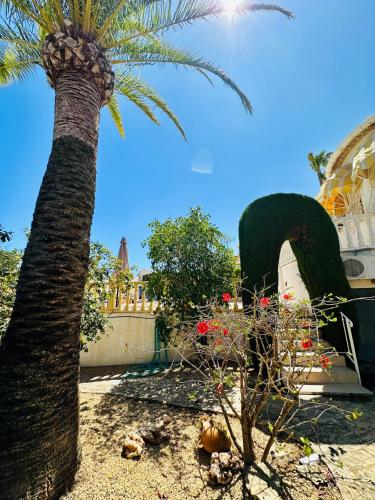 a palm tree in front of a building at Casa Sofia in Calpe