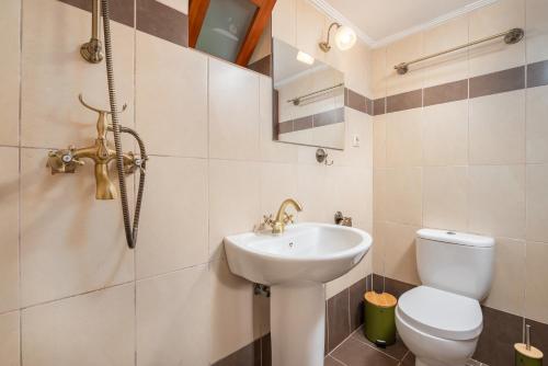a bathroom with a sink and a toilet at Pirgali Stone house in Ampavris