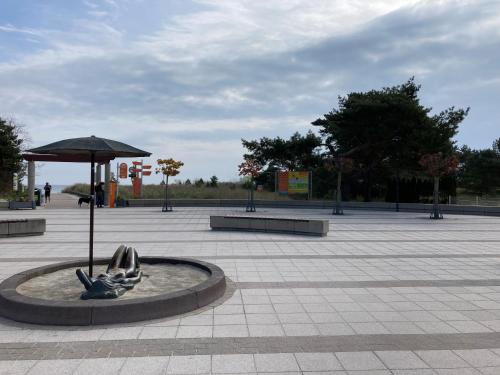 Φωτογραφία από το άλμπουμ του Inselglück unter Reet 100m zum Strand - Garten & Privatterrasse - Hund willkommen σε Ostseebad Karlshagen