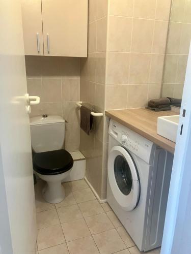 La salle de bains est pourvue de toilettes et d'un lave-linge. dans l'établissement Duplex Hendaye-plage, à Hendaye