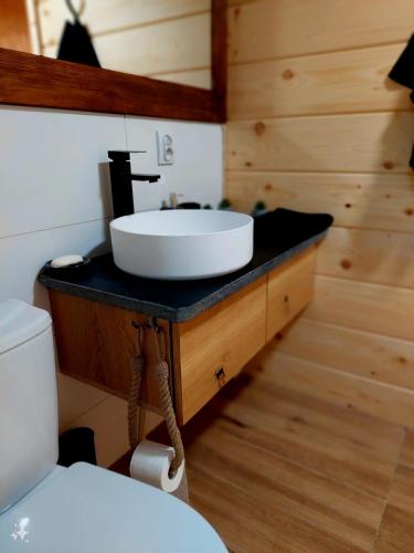 a bathroom with a sink on a black counter at Górska Przygoda in Koniaków