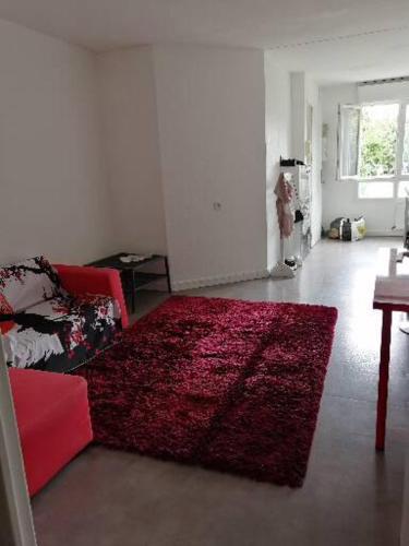 - un salon avec un tapis rouge au sol dans l'établissement Lili Rose, à Saint-Germain