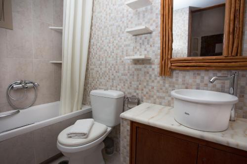 a bathroom with a toilet and a sink and a mirror at Patriko in Skiros