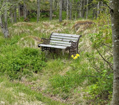 a park bench sitting on a hill in a field at The Golden Circle Cabin in Selfoss