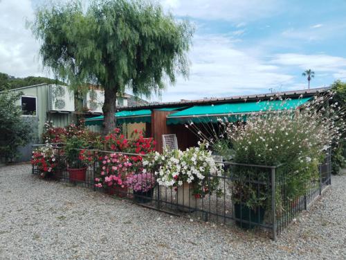a bunch of flowers in pots on a fence at Camping Roma in Ventimiglia
