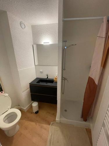 une salle de bain avec une douche, des toilettes et un lavabo dans l'établissement Cosy studio - vue imprenable sur les montagnes, à Embrun