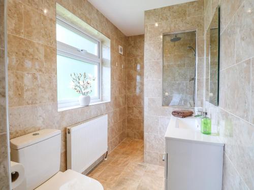 un bagno con un water, un lavandino e una finestra di Cedar Cottage a Norwich