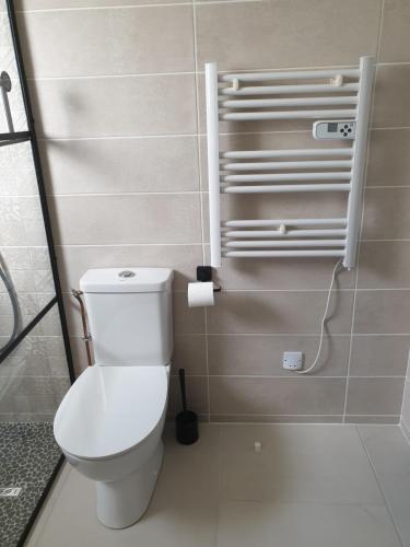 une salle de bain avec toilettes et douche dans l'établissement Maison idéalement située à Brétignolles sur mer, à Bretignolles-sur-Mer