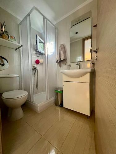 a bathroom with a toilet and a sink and a shower at Villa Terrina in Áyioi Apóstoloi