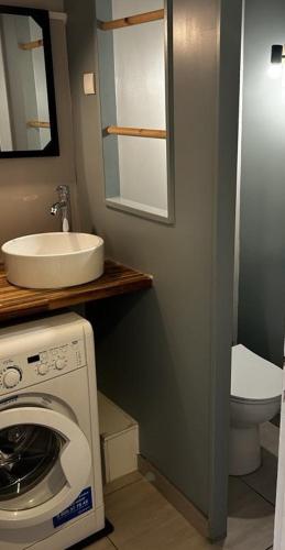 une salle de bain avec une machine à laver et un lavabo dans l'établissement Cocon et bien-être en bord de mer, à La Grande Motte