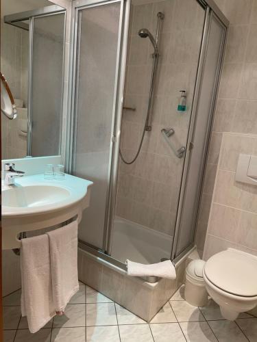 a bathroom with a shower and a sink and a toilet at Hotel Zum Bären in Kurort Altenberg