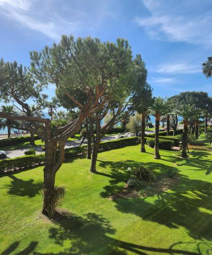un groupe d'arbres dans un parc avec de l'herbe verte dans l'établissement CCI - Cannes Midi Front de Mer - LEC -, à Cannes