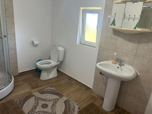 ein Badezimmer mit Toilette und Waschbecken in der Unterkunft Cabana Narcisa in Arpaşu de Sus