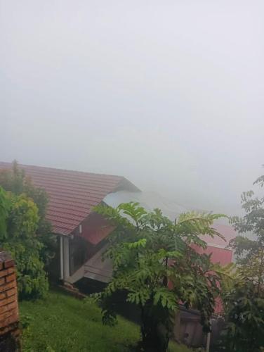 a house with a red roof and a tree at SANKARA GARDEN in Pantai
