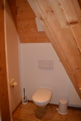 a bathroom with a white toilet in a attic at Ferienwohnungen am Bullachberg in Schwangau