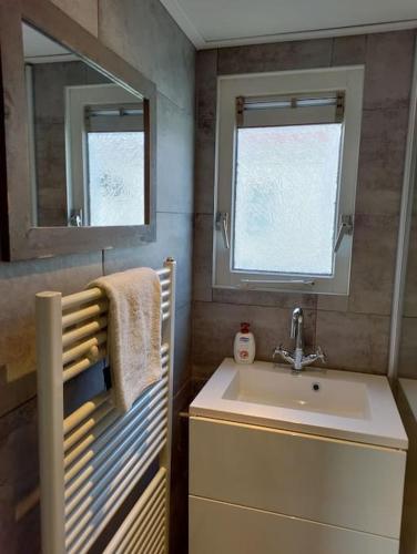a small bathroom with a sink and a mirror at Chalet midden in de natuur! in Anloo