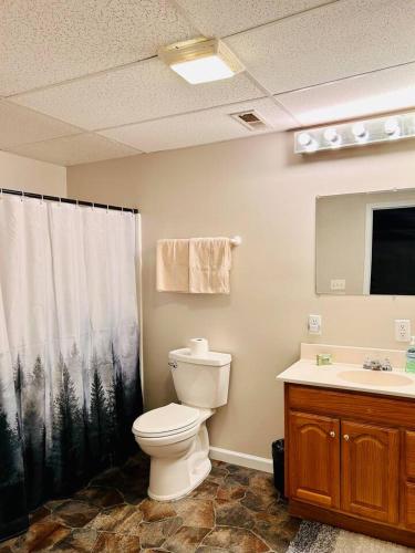 a bathroom with a toilet and a shower curtain at The Great Escape King suite, Kid friendly in Sevierville