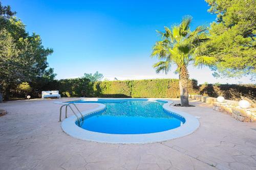 a swimming pool with a palm tree in a yard at INIBIZA VILLAS - Villa Oasis in Sant Jordi