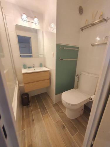 une petite salle de bain avec toilettes et lavabo dans l'établissement Charmante maison, à La Motte