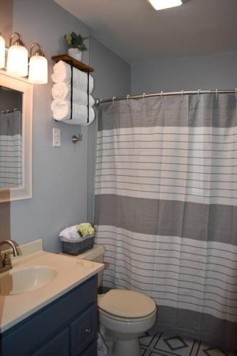 a bathroom with a shower curtain and a toilet at Cozy Garden House in Adrian