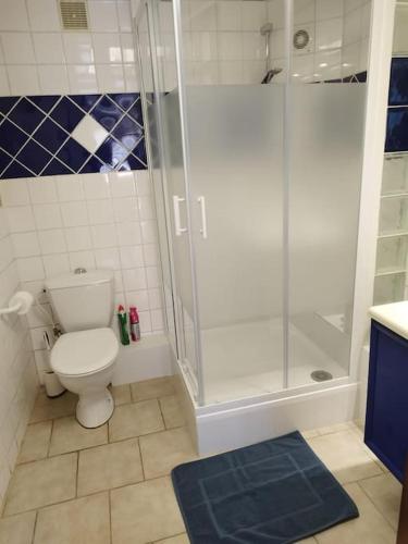une salle de bain avec une douche, des toilettes et un lavabo dans l'établissement Bas de villa climatisé avec coin terrasse, à Sanary-sur-Mer