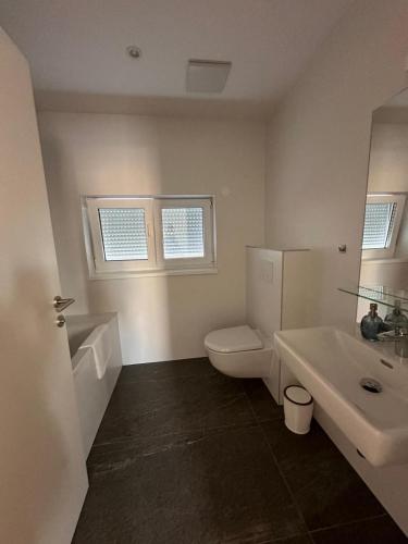 a bathroom with a white toilet and a sink at Villa Parndorf Lake 1 next to Outlet in Parndorf