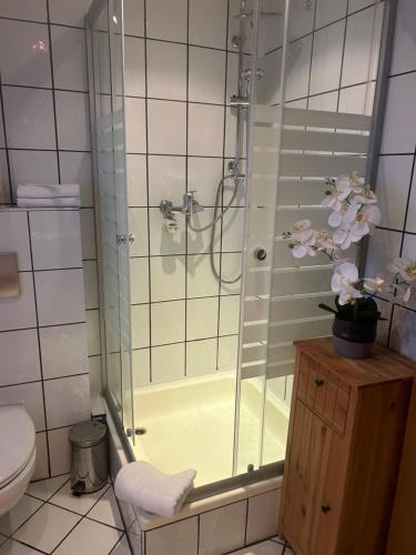 a bathroom with a shower and a toilet at By Bamberg in Stegaurach
