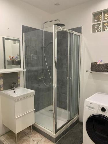 une salle de bain avec une douche avec un lavabo et des toilettes dans l'établissement Petit Boucan 47m2 Dans le coeur du Panier, à Marseille