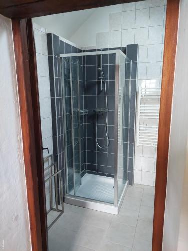 une douche avec une porte vitrée dans une salle de bain dans l'établissement Gîte La Chaume, à Perrigny-sur-Loire