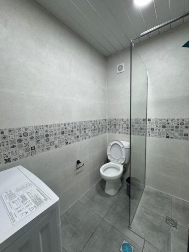 a bathroom with a toilet and a shower at Orion Palace in Batumi