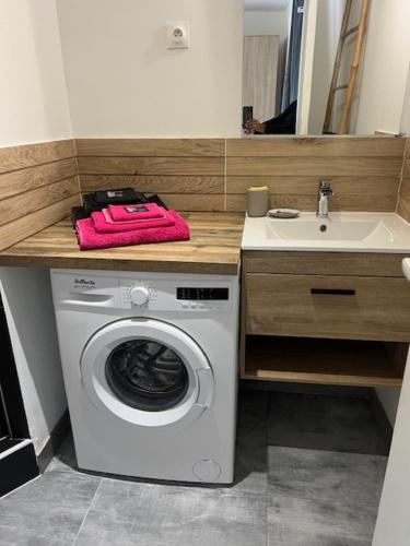 une salle de bain avec une machine à laver et un lavabo dans l'établissement Cavalière studio 2 pers terrasse, au Lavandou